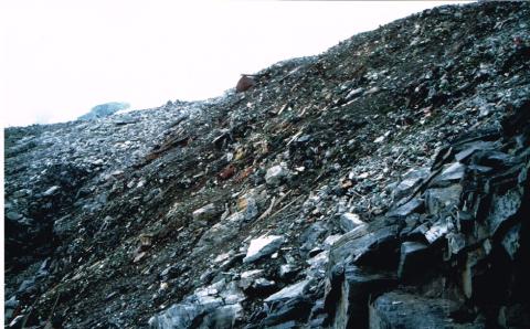 Livrio bonifica ambientale