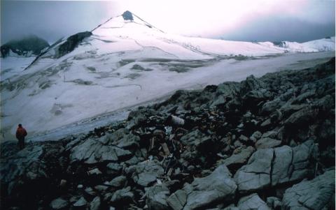 Livrio bonifica ambientale