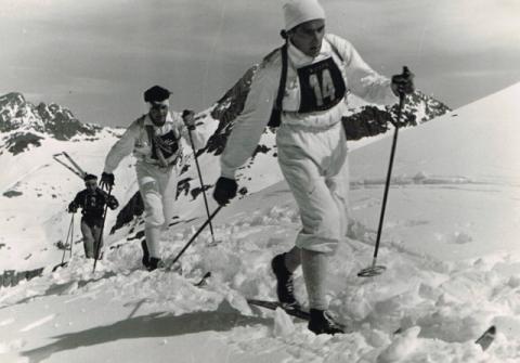 Trofeo Parravicini 1955