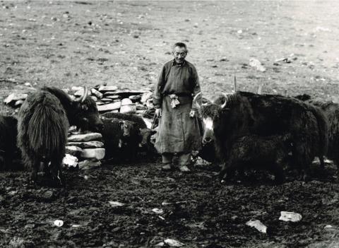 Mostra Himalaya 2000 di Giancelso Agazzi