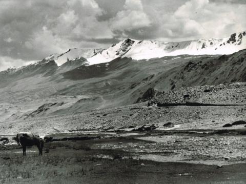 Mostra Himalaya 2000 di Giancelso Agazzi