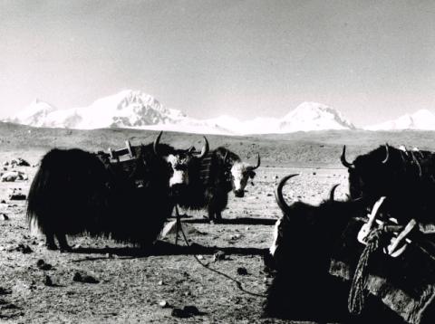 Mostra Himalaya 2000 di Giancelso Agazzi