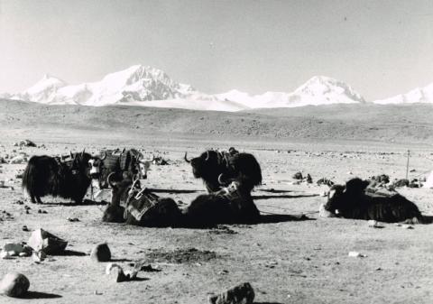 Mostra Himalaya 2000 di Giancelso Agazzi