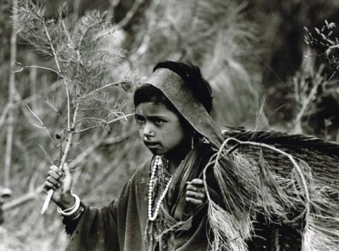 Mostra Himalaya 2000 di Giancelso Agazzi