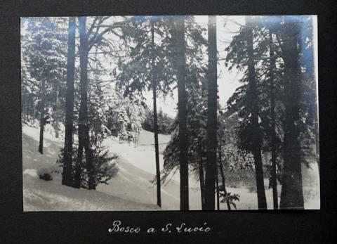 Album Fotografico Nr. 2 - anni 1920/29