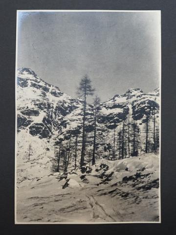 Album Fotografico Nr. 2 - anni 1920/29