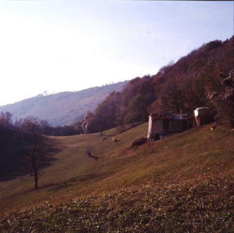 San Pellegrino Terme: Contrade