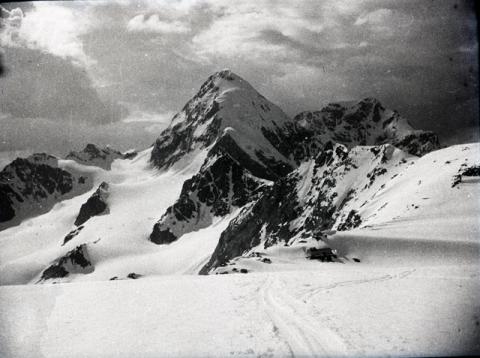 Cevedale (sci, giugno 1946)