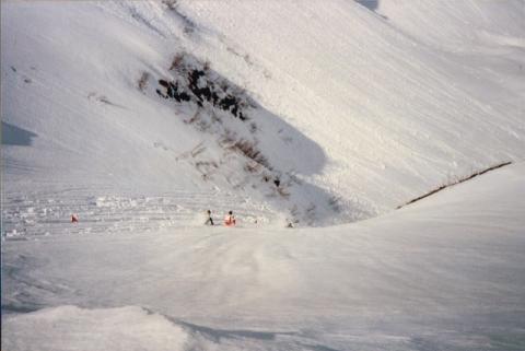 Trofeo Parravicini 37° 1983