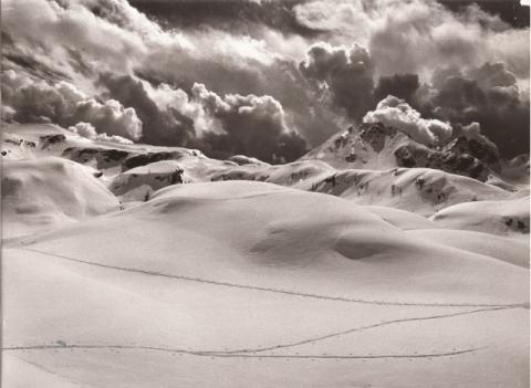 Trofeo Parravicini 38° 1985