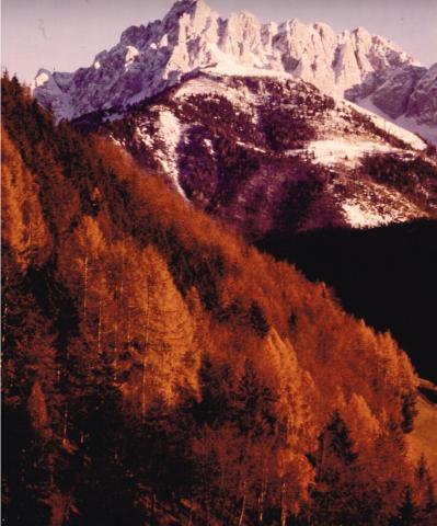 Il Pizzo Camino (Val di Scalve)