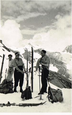 Gruppo del Bernina