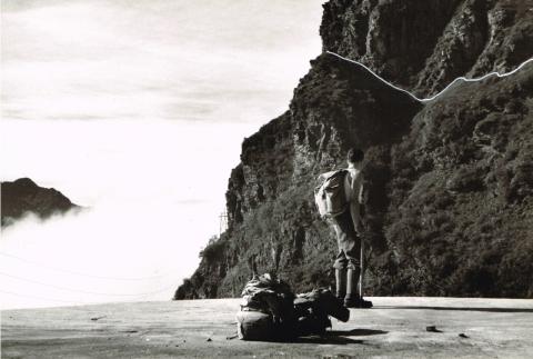 Sentiero basso Coca - Brunone (sent. 330)