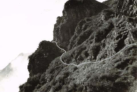 Sentiero basso Coca - Brunone (sent. 330)