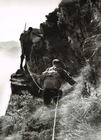 Sentiero basso Coca - Brunone (sent. 330)