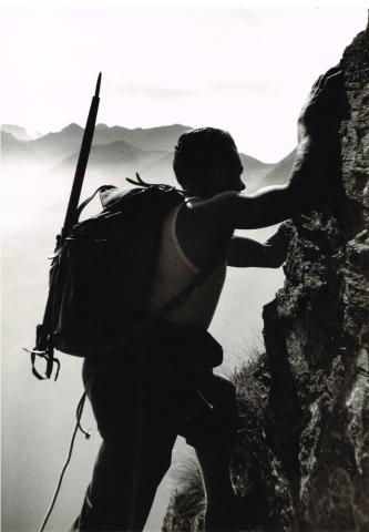 Sentiero basso Coca - Brunone (sent. 330)