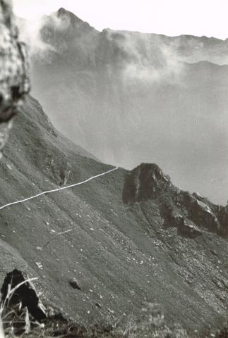 Sentiero basso Coca - Brunone (sent. 330)