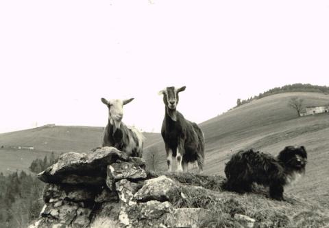Fonteno e Monte Torrezzo