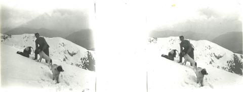 "LETTEN /CANE) - GEMELLI  (CANE) - FOPP (CANI)"