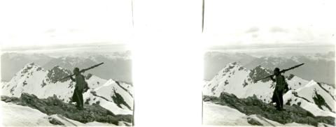 "LETTEN /CANE) - GEMELLI  (CANE) - FOPP (CANI)"