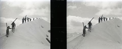 "Trofeo Parravicini"