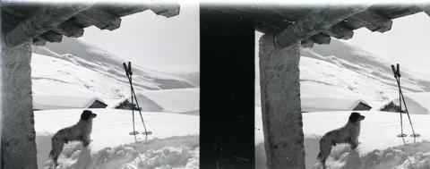 "Leten, Forcella di Valmora"