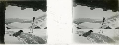 "Grem-Gola (Golla) Vaccaro e Formico"