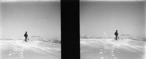 "Formico - Campelli"