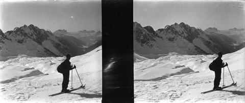 "Formico - Campelli"