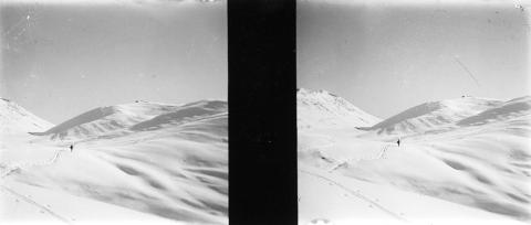 "Formico - Campelli"