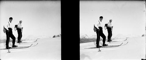 "Formico - Campelli"