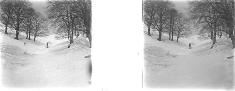 Grem e Golla viste invernali