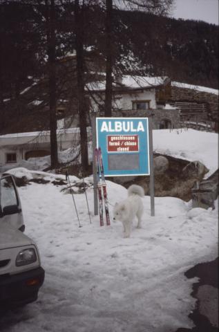 Monte Redival - 26-2-1997 e Crasta Mora - 1-3-97