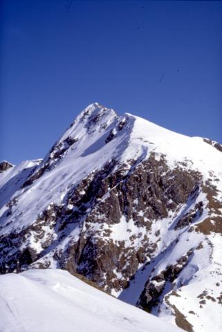 Corno Stella 12-3-1997