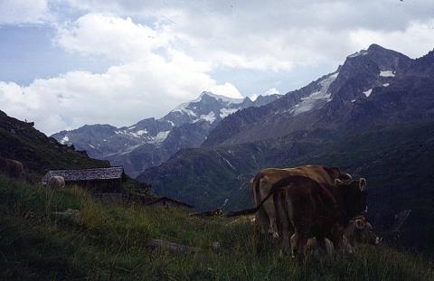 Picco Tre Signori-Vetta d'Italia  -  10-9-1992
