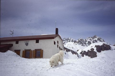 Punta d'Arbola - 23-3-97