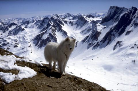 Helgenhorn (Punta Elgio) - 3.05.1997