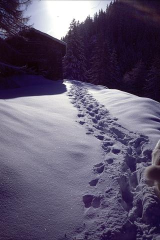 Strada per il Calvi - 17-04-1999