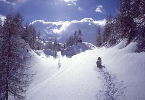 Strada per il Calvi - 17-04-1999