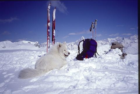 Strada per il Calvi - 17-04-1999