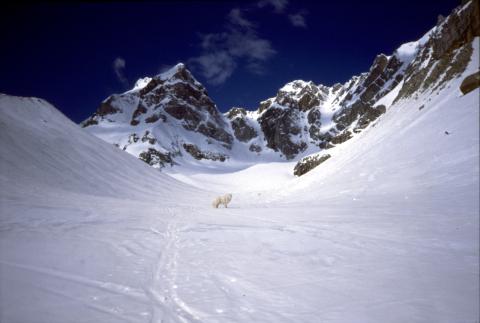 Alpe Devero - Pizzo Bandiera - 1-05-1999