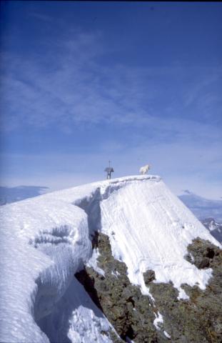 Monte Cabianca - 12-05-1999