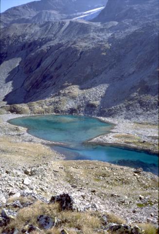 Val di Campo - Livigno  8-09-1999