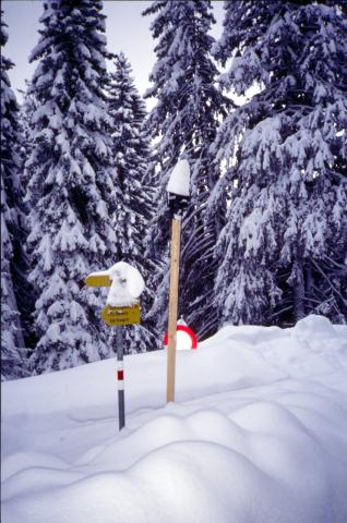 Mathon, Beverin Pintg - 07-02-1999