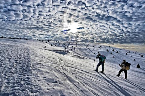 Concorso Ottolini 2011