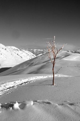 Concorso Ottolini 2011