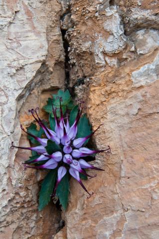 Concorso Ottolini 2011