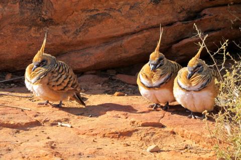 Concorso Ottolini 2011
