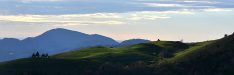 Concorso Ottolini 2013