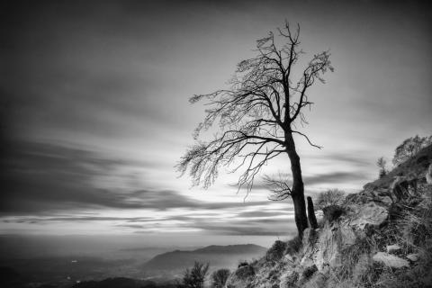 Concorso Ottolini 2013